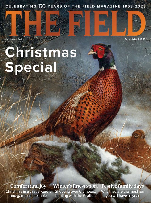 The Field
