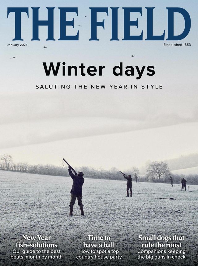 The Field