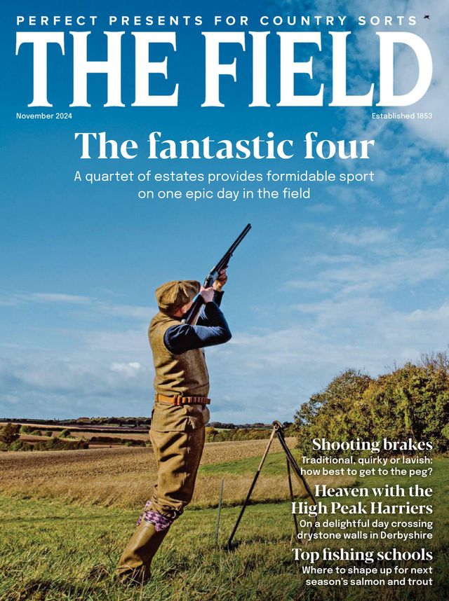 The Field