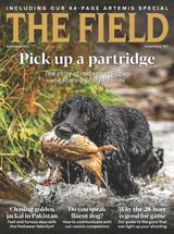 The Field