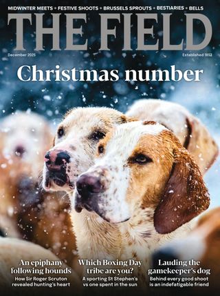 The Field