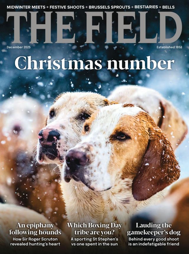 The Field