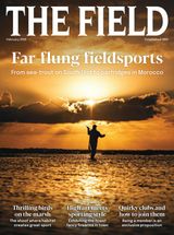 The Field