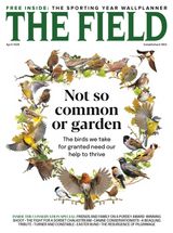 The Field