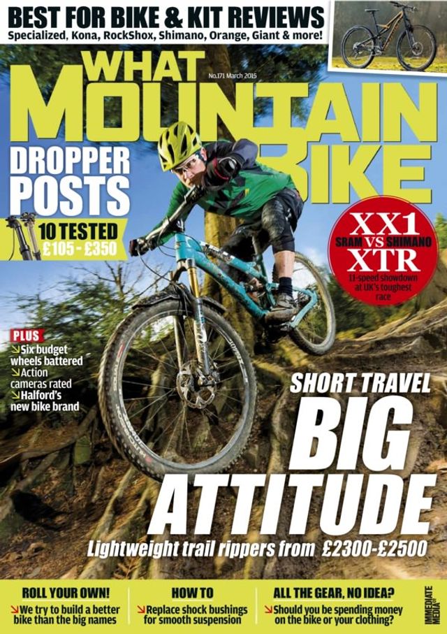 What Mountain Bike