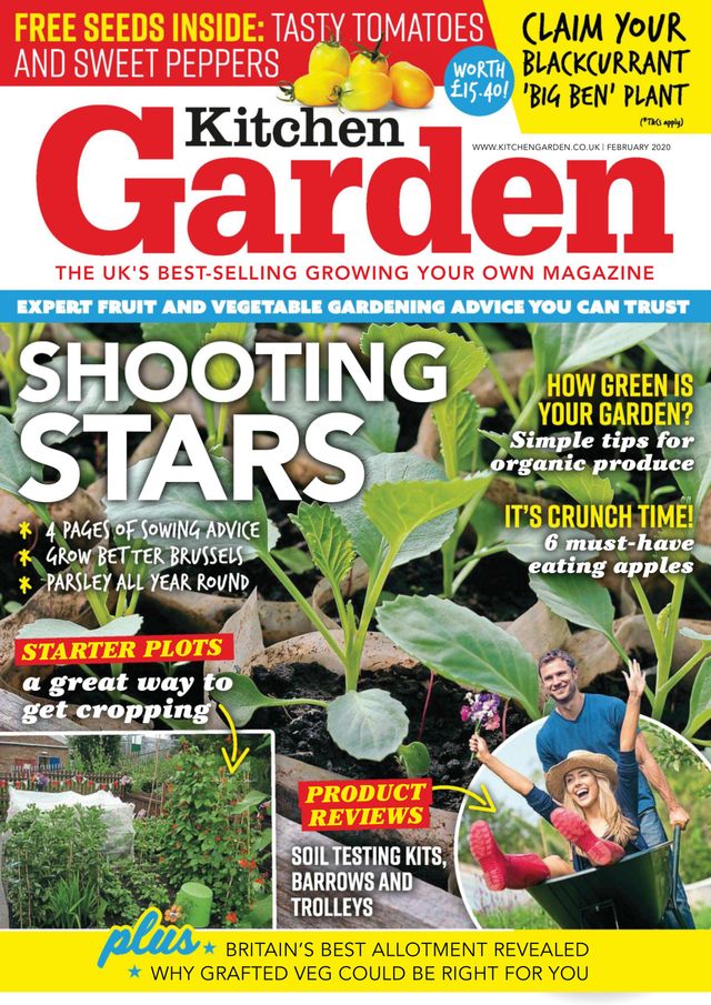 Kitchen Garden