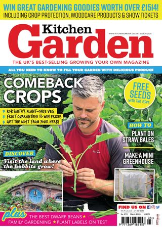 Kitchen Garden