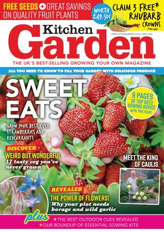 Kitchen Garden