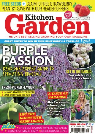 Kitchen Garden