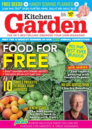 Kitchen Garden