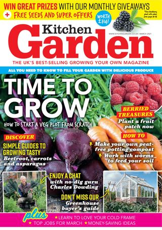 Kitchen Garden