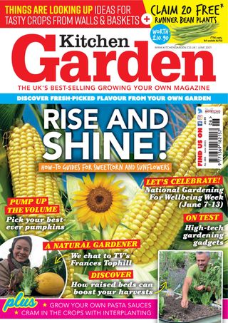 Kitchen Garden
