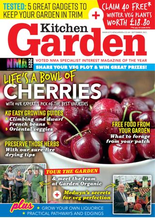 Kitchen Garden