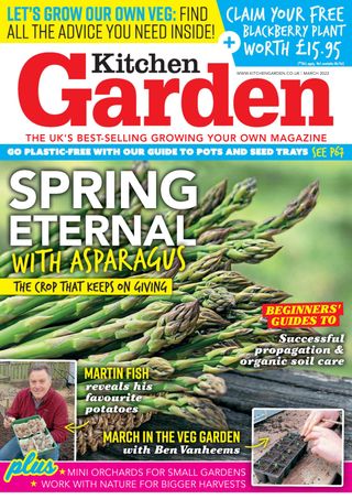 Kitchen Garden