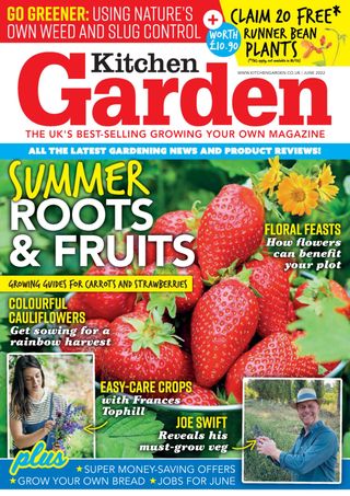 Kitchen Garden