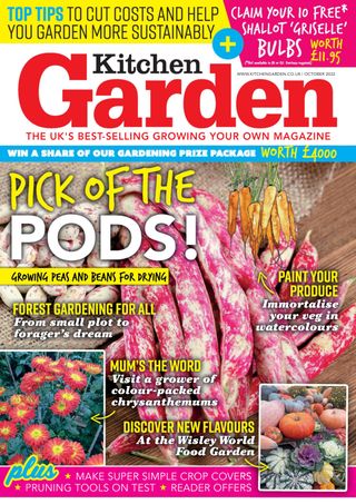 Kitchen Garden