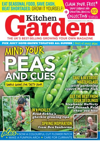 Kitchen Garden