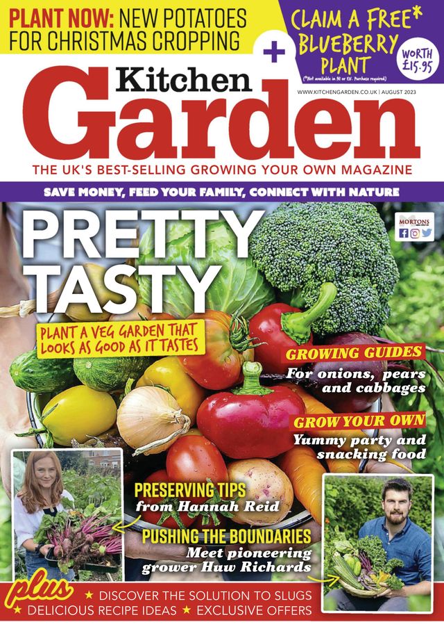 Kitchen Garden