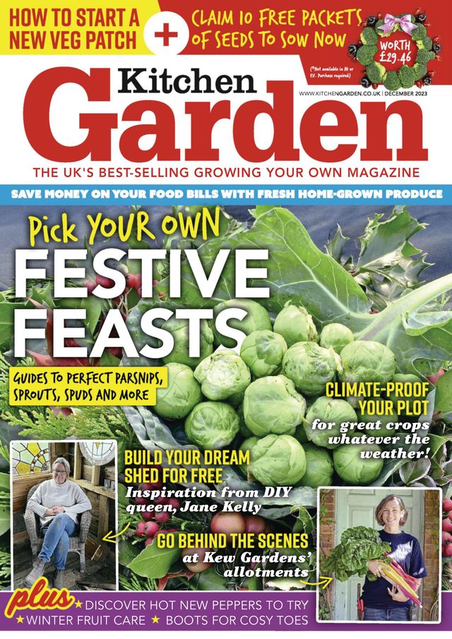 Kitchen Garden