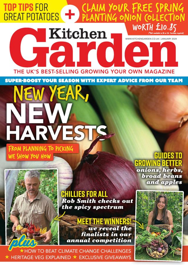 Kitchen Garden