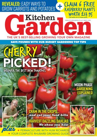 Kitchen Garden