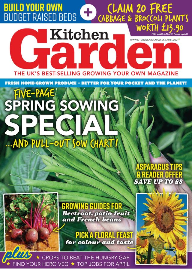 Kitchen Garden