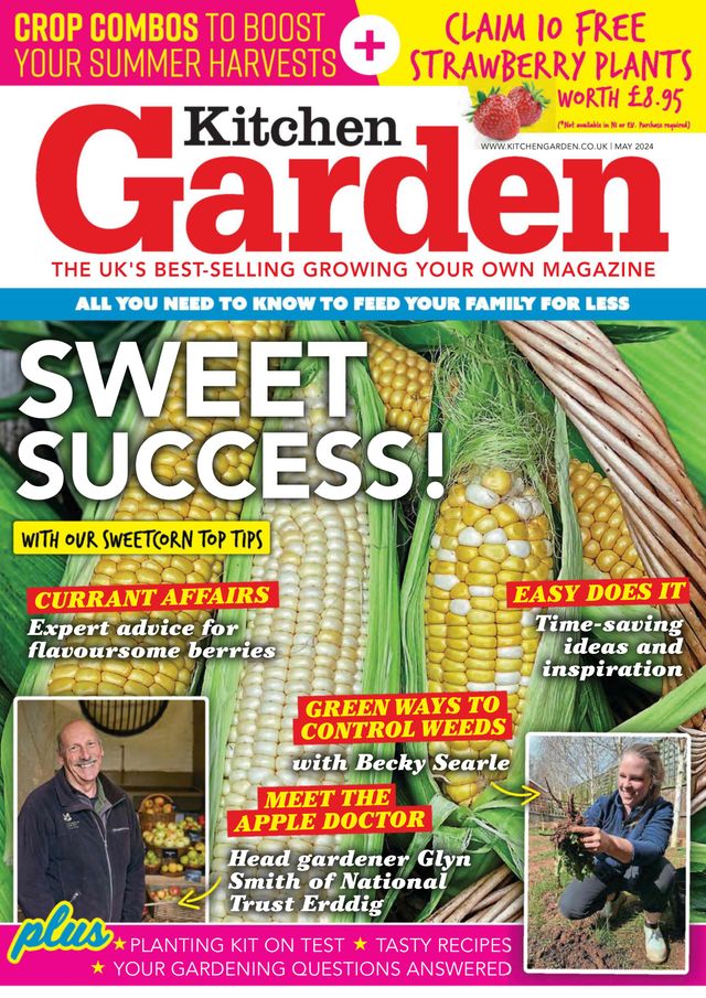 Kitchen Garden