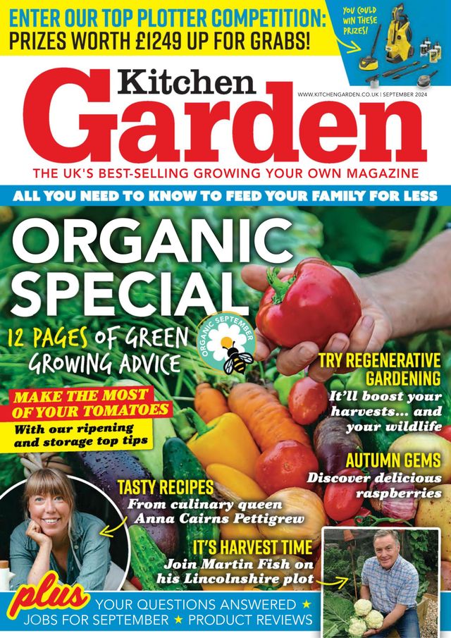 Kitchen Garden