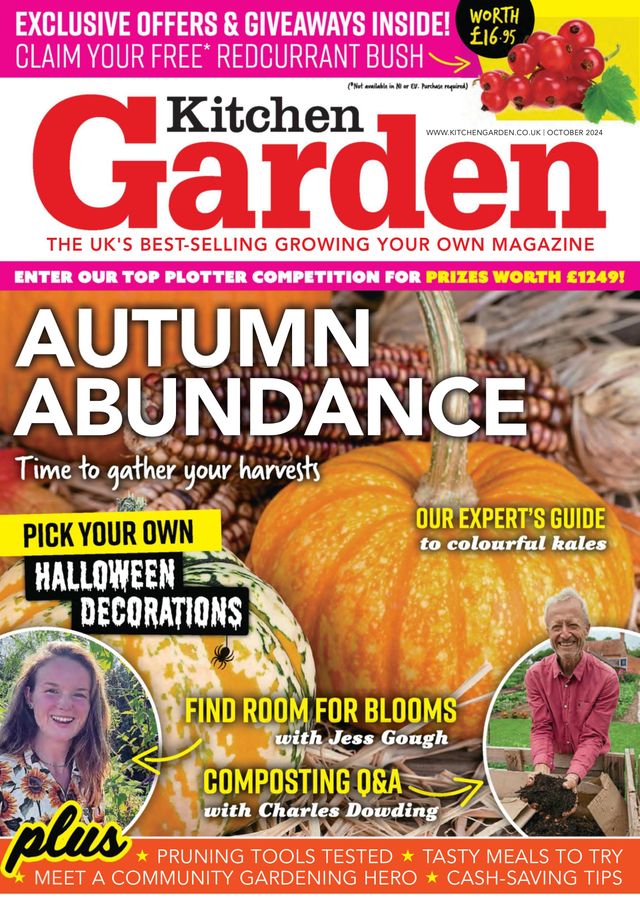 Kitchen Garden