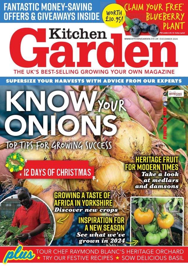 Kitchen Garden