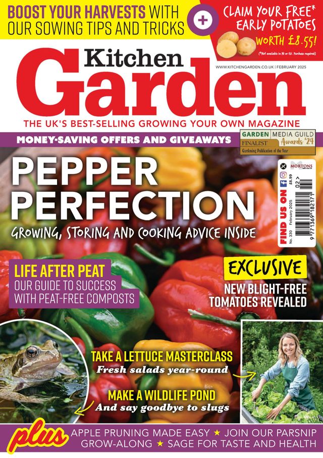 Kitchen Garden