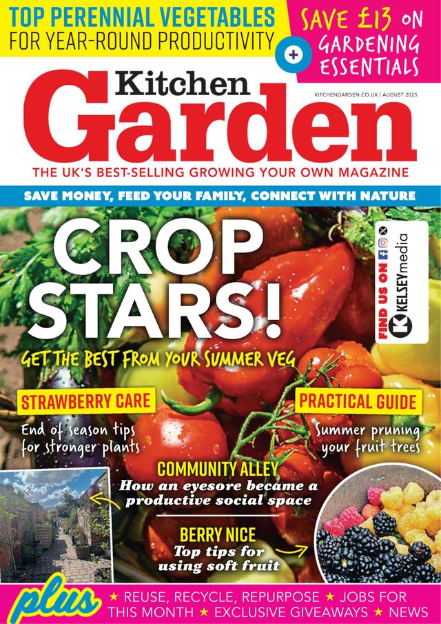 Kitchen Garden