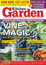 Kitchen Garden