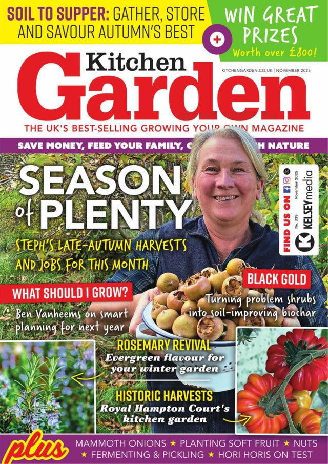 Kitchen Garden