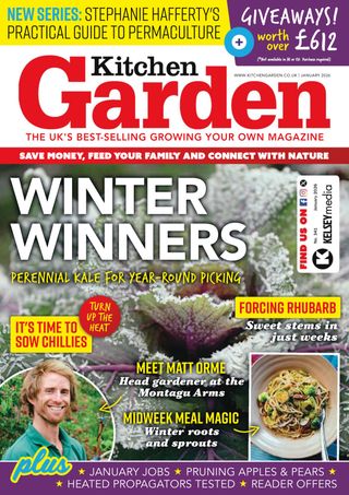 Kitchen Garden