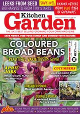 Kitchen Garden