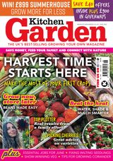 Kitchen Garden