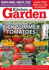 Kitchen Garden