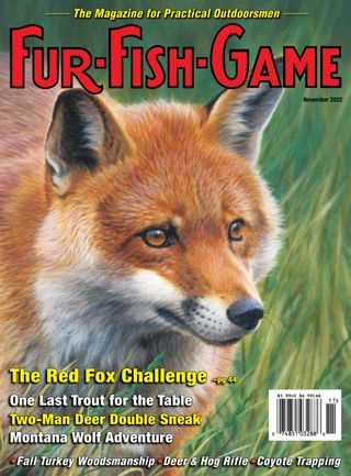 FUR-FISH-GAME