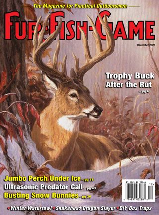 FUR-FISH-GAME