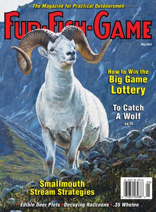FUR-FISH-GAME