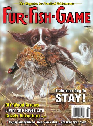 FUR-FISH-GAME
