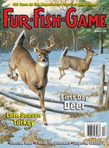 FUR-FISH-GAME