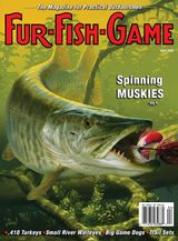FUR-FISH-GAME