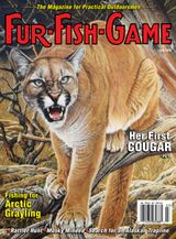 FUR-FISH-GAME