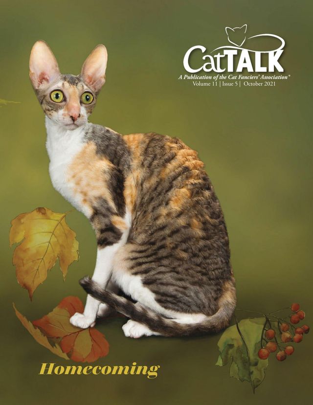 Cat Talk