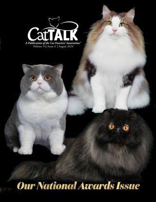 Cat Talk