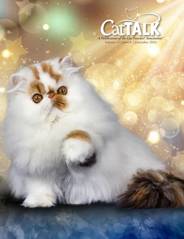 Cat Talk