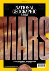 Mart 2021