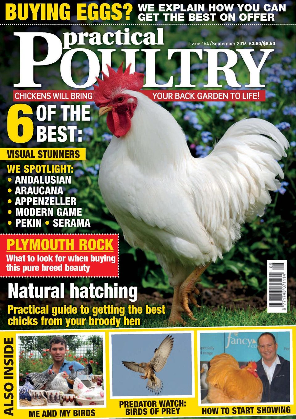 Practical PoultrySeptember 2016 Magazine Get your Digital Subscription